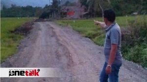 “Cinta di Balik Pohon”