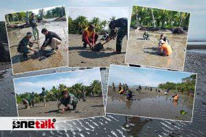 Koramil 1403-13/Wotu Laksanakan Peningkatan Lingkungan dan Keberlanjutan Ekosistem, Penghijauan Melalui Penanaman Mangrove