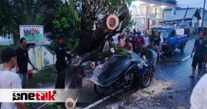 Hujan Deras dan Angin Kencang di Gorontalo Tumbangkan Pohon Besar: Satu Tewas, Beberapa Luka