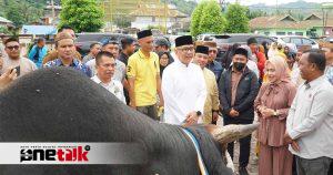 Presiden RI Berikan Bantuan Sapi untuk Perayaan Idul Adha di Masjid Agung Baiturrahim Gorut
