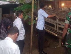 Kipan A Yonif 713/ST Luncurkan Program Peternakan Ayam, Dinas Peternakan Siap Berkolaborasi