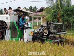 Sinergi Kodim 1314/Gorut dan Pemda Dukung Swasembada Pangan, Panen Raya dan Penanaman Perdana di Gorut
