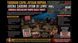 Taruhan Capai Jutaan Rupiah, Arena Sabung Ayam di Luwu Diduga Berjalan Tanpa Rasa Takut
