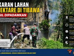Kebakaran Lahan Dua Hektare di Tibawa Berhasil Dipadamkan, Aparat Selidiki Penyebab Insiden